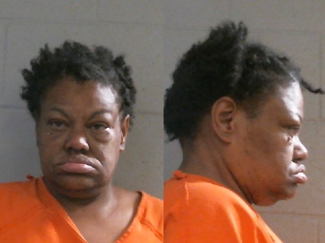 Mugshot of ERICKA ANN LEDMAN