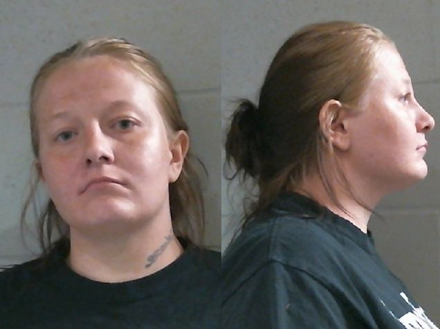 Mugshot of CHEYENNE NICOLE HESS