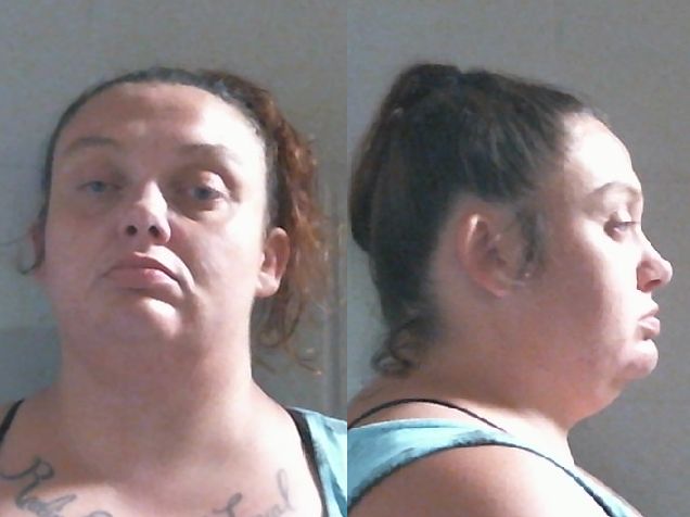 Mugshot of ASHLEY CARISSA RENDICH