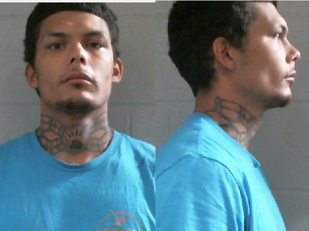 Mugshot of MARIO WESLEY BRYAN