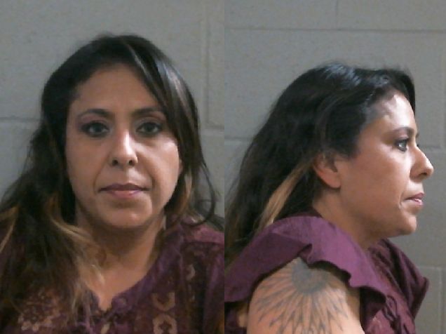 Mugshot of LESLIE ANNE WARREN