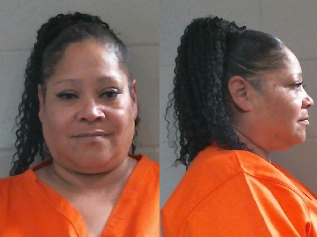 Mugshot of JAYME SHEREE REED