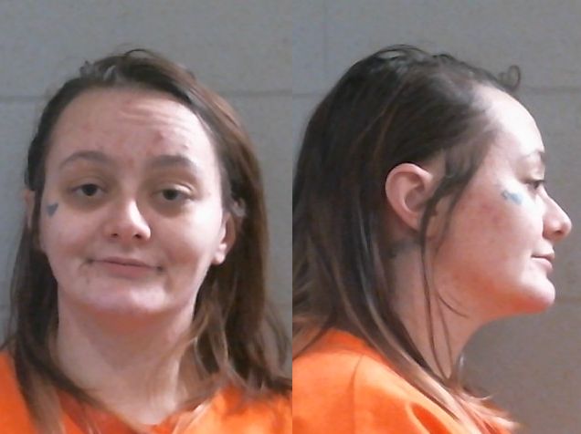 Mugshot of SABRE DAWN LEWIS