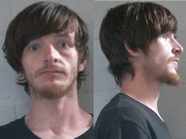 Mugshot of RONNIE LYNN WILLIAMS