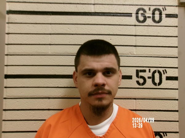 Mugshot of AUSTIN LEE WILSON