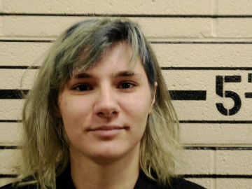 Mugshot of SHIEANN JEANETTE PRYOR