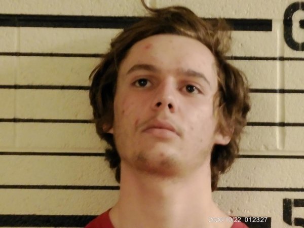 Mugshot of TYLER WILSON