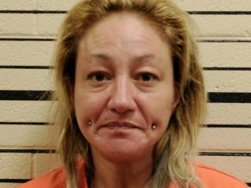 Mugshot of TANYA SHIN MEADE