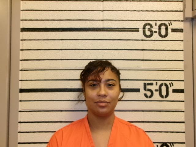 Mugshot of CAYLA MAREE NELSON