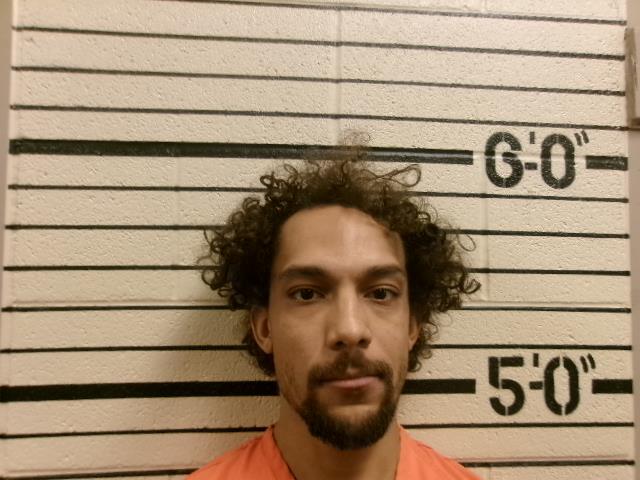 Mugshot of JORDAN M GAYMON
