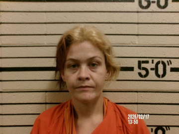 Mugshot of DESTINEE DAWN WILLIAMS