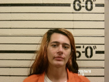 Mugshot of MEGAN ELIZABETH DODSON