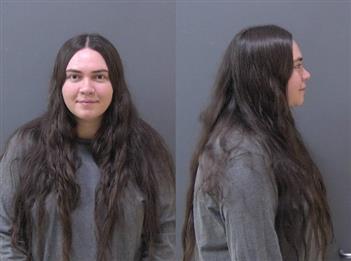 Mugshot of Andrea Strychalski
