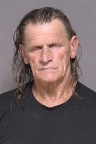 Mugshot of Dana Schwartz