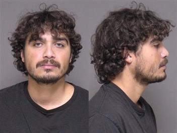 Mugshot of Michael Carl
