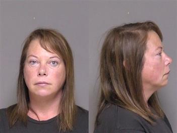 Mugshot of Erin Johnson