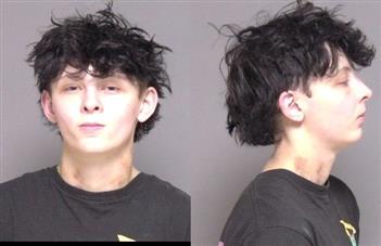Mugshot of Kali Di Salvo