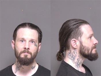 Mugshot of Dana Wilson