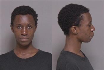 Mugshot of Brenda Kendema