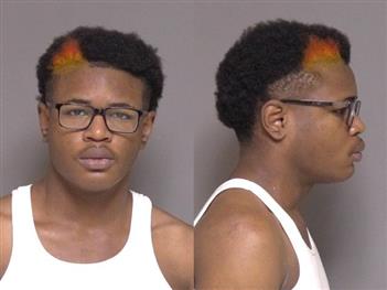 Mugshot of Brian Brown