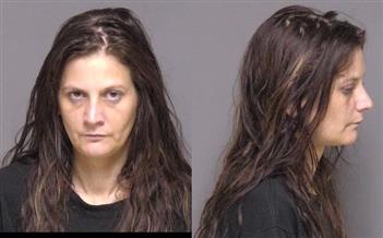 Mugshot of Alicia Nielsen