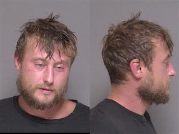 Mugshot of Joel Johnson