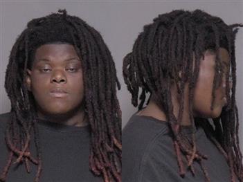 Mugshot of Annalee Mays