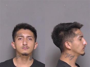 Mugshot of Luis Ramirez-Andrade