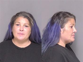 Mugshot of Megan Minnick