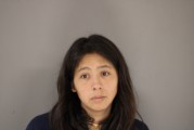 Mugshot of Michelle Lynn Littlewolf