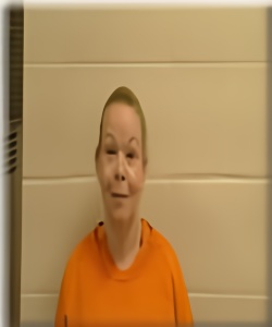 Mugshot of Hannah Lee Feiker