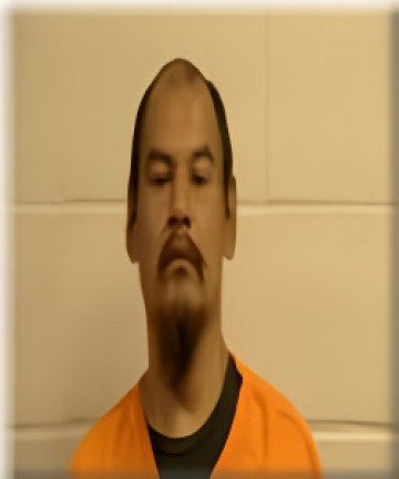 Mugshot of Llewellyn James Benais