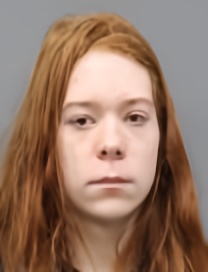 Mugshot of WYATT DAVID HOLMES