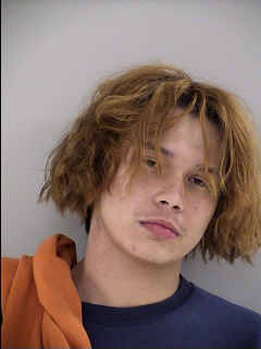 Mugshot of DAESHAWN SEQUOYAH HOULE