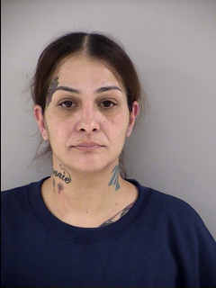 Mugshot of IRENE RAMOS NEGRON