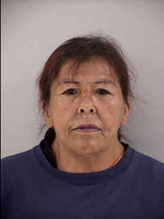 Mugshot of MICHELLE WADENA