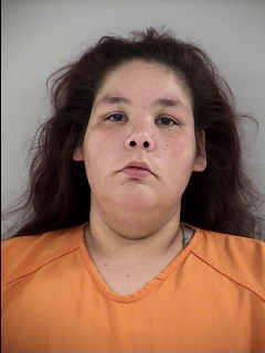 Mugshot of SUSAN ELIZABETH ROHRBACH