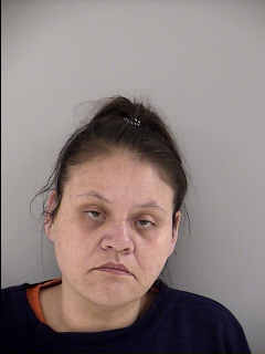 Mugshot of BRANDY MAE BROWN