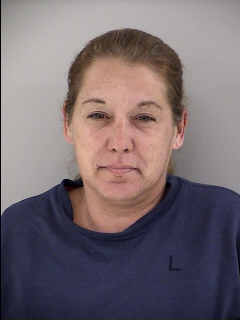 Mugshot of RENEE CECILIA VESELKA