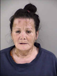 Mugshot of IRMA SALINAS