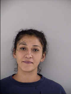 Mugshot of NINA CORA JEAN BRIGGS