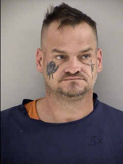 Mugshot of SEAN RAYMOND WEBER