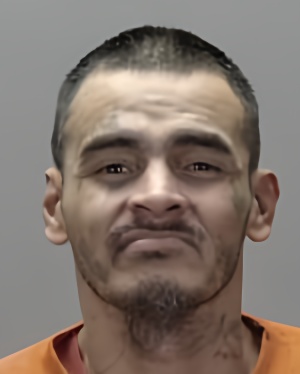 Mugshot of Johnny Molina