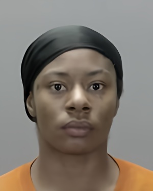 Mugshot of Deajanea Janice Diane Perkins
