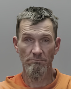 Mugshot of Jamie Louis Shelrud