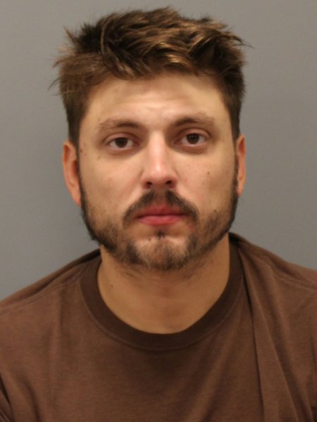 Mugshot of DONOVAN GINN