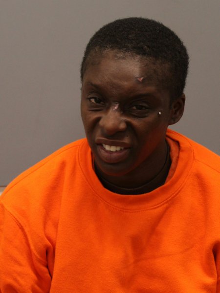 Mugshot of CHRISTINA HOWARD