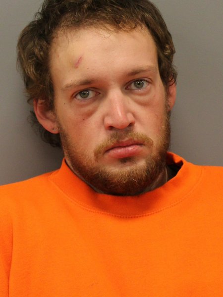 Mugshot of AUSTIN SEIDL