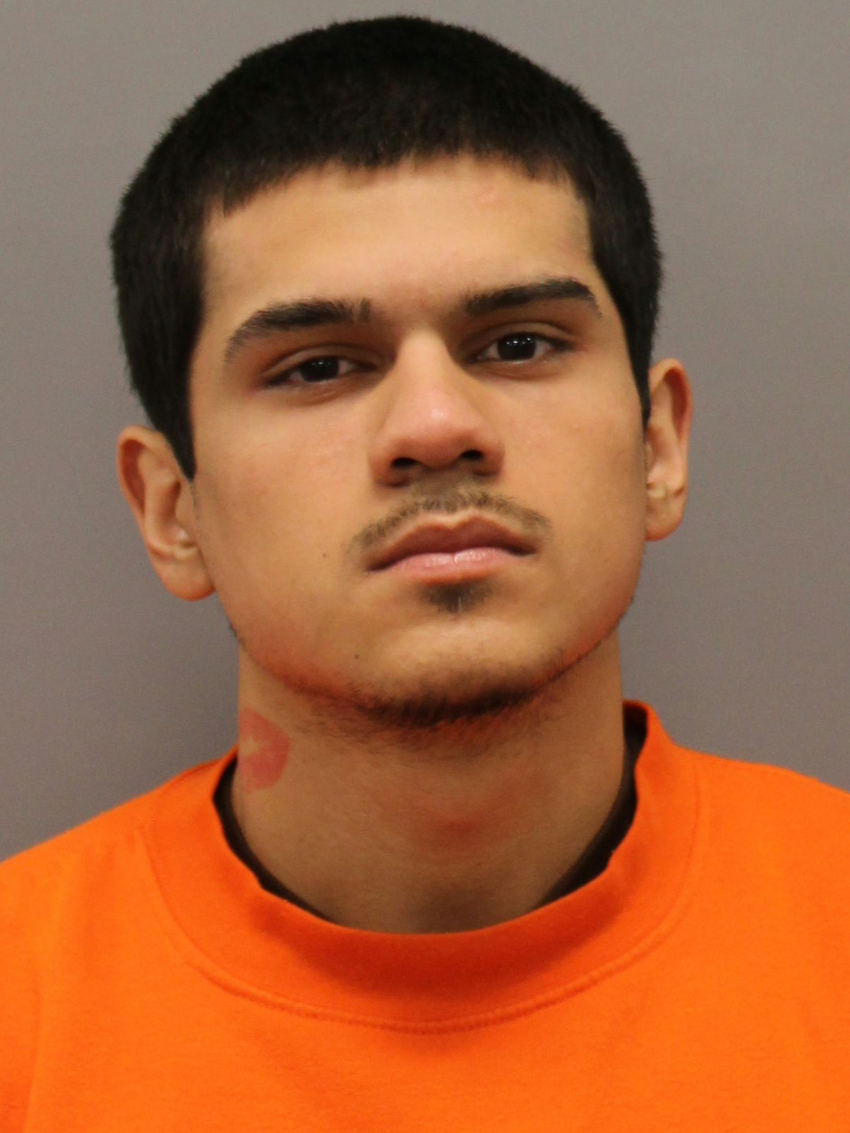 Mugshot of RODRIGO JR DELUNA