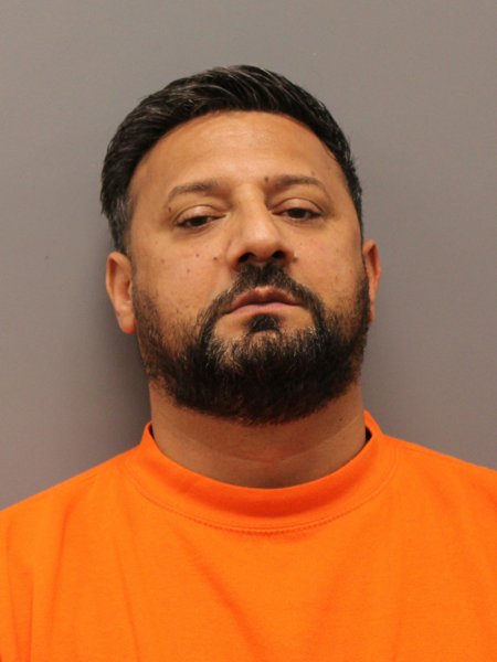 Mugshot of FABINI BIRLEANU